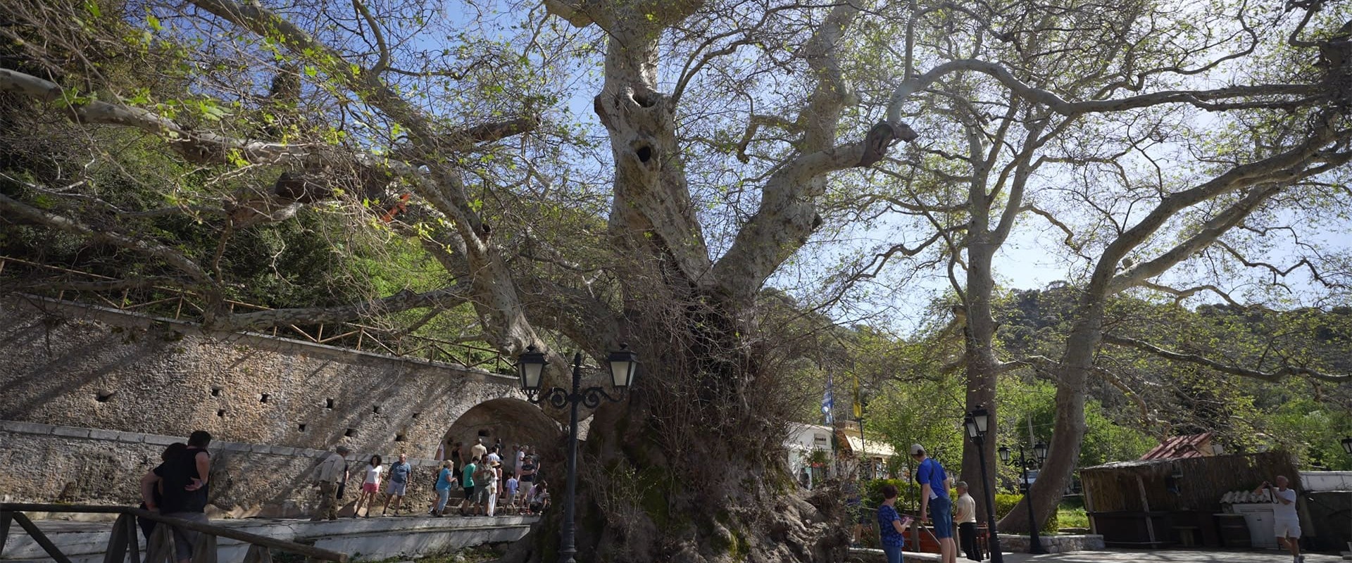 Krasi Village: Where Time Stands Still Beneath the Old Plane Tree